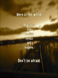 Don T Be Afraid Quote Of The Day 137 Christopher Spiewak On Life