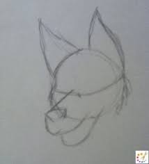 How to Draw furry Step by Step For Kids Beginners