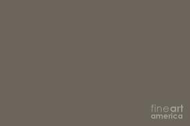 We did not find results for: Sherwin Williams Trending Colors Of 2019 Porpoise Dark Brownish Gray Sw 7047 Digital Art By Melissa Fague
