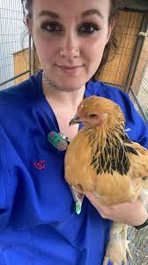 Heat sources for chicken coops in Western New York