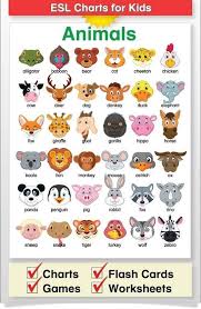 Transport Name Fruits Name Flowers Name Shapes Pictures Animals Name Vegetables Flowers Name In Learning English For Kids English Classroom Kids English