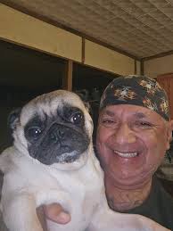 Good Morning from Teddy. ❤️🌞