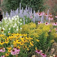 According to the national gardening association, the average family with a garden spends $70 on their crops—but they grow an estimated. Summer Dreams Pre Planned Garden High Country Gardens