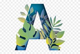 Jungle safari animal baby kids girls room nursery decor wall/ word art prints · wooden jungle animal alphabet letters personalised bedroom wall door name · forest . Maze Clipart Jungle Jungle Font Letters Png Download 823890 Pinclipart