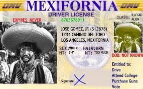 Image result for no Driver Permits for Illegal Immigrants?