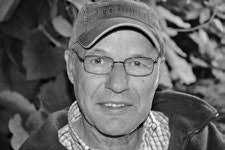 Voorstelling van de reeks buitengewone duiven, geschonken ten voordele van  de GOUDEN DUIF-competitie