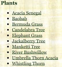 Dominant Plants In The African Savanna African Savanna Animals Savanna Plants Savanna Biome