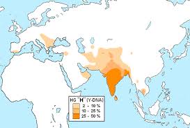 Dna zero rom for j200g. Haplogroup H Y Dna Wikipedia