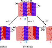 Diverse Morphologies of Block Copolymers by Blending with ...