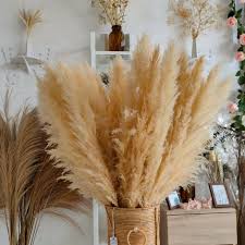 Pilih juga beberapa bunga dan daun yang sudah mengering. Dried Pampas Bunga Kering Rustic Hiasan Pajangan Dekorasi Murah Shopee Indonesia