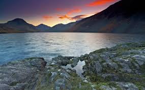 1,314 likes · 11 talking about this · 1 was here. The 29 Simple Examples Of Nature Beauty Freeyork