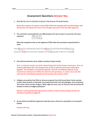  dna carries information for running the cell. Assessment Questions Answer Key
