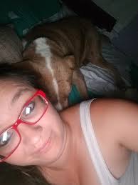 Lost dog in Hollywood, Alabama, found and being taken care of