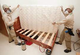 Bed bug control & removal service bed bugs are a troublesome household pests. Bed Bug Pest Control Services Bed Bugs Pest Control Debug 360 Pune Id 9864509130