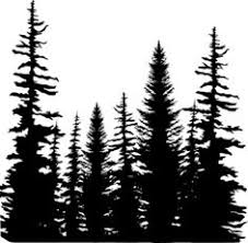 Choose from 50+ forest silhouette graphic resources and download in the form of png, eps, ai or psd. 600 Forest Ideas Tree Silhouette Pine Tree Silhouette Tree Drawing