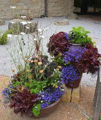 … thyme, mint, and oregano can all be used as ground companion planting is a great way to give your vegetable garden a completely organic boost. Container Ideas Pair Flowers And Vegetables Together Birds And Blooms