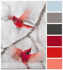 Grey Birds That Look Like Cardinals Frisky Cardinals Winter Palette Crystal Blue Grey Charcoal Berry Red Orange Red And Tangerine Beautiful Birds Birds Animals Beautiful