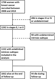stage 4 breast cancer means that the cancer has spread to other areas of the body, such as the brain, bones, lung and liver. Adequacy Of Early Stage Breast Cancer Systemic Adjuvant Treatment To Saint Gallen 2013 Statement The Mcc Spain Study Scientific Reports