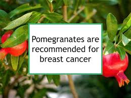 Cinnamon is one of the most ancient spices, and if it is not the most popular, it soon may be. Pomegranates Are Recommended For Breast Cancer Food For Breast Cancer