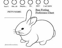 A Bun Petting Chart I Found On Instagram Feel Free To Use