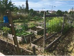 Laureate 2017 Le Jardin D Anna Pauchet A Marseille 13 Marseille Parcs