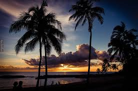 We offer an extraordinary number of hd images that will instantly freshen up your smartphone or computer. Hd Wallpaper Beach Sunset Photo Honu Lagoon Sunset Beach Hawaii Palm Trees Wallpaper Flare