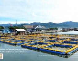 Aquatec Keramba Jaring Apung Kja Hdpe Aquatec Perusahaan Terlengkap Untuk Peralatan Kelautan Dan Perikanan Buatan Anak Bangsa Perahu Indonesia Dermaga