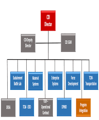 Program Integration Office Capabilities Development