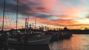 See 28 unbiased reviews of the shed cafe, rated 4.5 of 5 on tripadvisor and ranked #10 of 55 restaurants in tuggerah. The Wickham Boat Shed