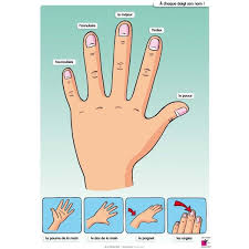 De La Tete Aux Pieds Editions Jocatop Activites Du Corps Humain Corps Humain Enseignement Du Francais