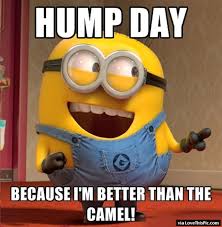 But he has never yet caught up with the three. 50 Beautiful Hump Day Wish Pictures And Images