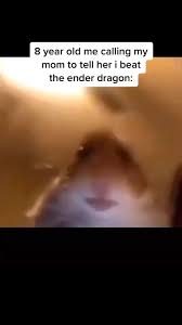 Pin By Decklen On Hamster Calling Her Mom Greenscreen Call My Mom Call Her