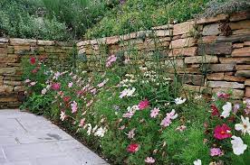 This is especially true if you choose. Farmhouse Landscaping Dos Don Ts Landscaping Network