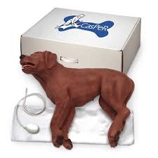 canine cpr simulator casper the cpr dog manikin