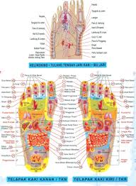 Lakukan beberapa kali untuk meredakan nyeri punggung bagian bawah. Titik Refleksi Sakit Tumit Jari Kaki Dipijat Terasa Sakit Zafrina