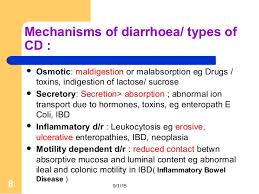 Chronic Diarrhoea A Step Wise Approach Of Diagnosis Of Cat