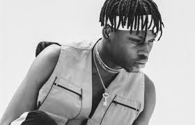 Joga os melhores jogos borboletas online no 1001jogos. Fireboy Dml Says Talent Isn T Everything Patience Is Key Mystreetz Magazine