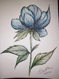 Blue Flower Sketch Colour Pencil Sketch Flower Drawing Color Pencil Sketch Pencil Sketch