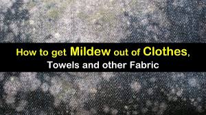 How to remove mold from clothes with baking soda. 9 Smart Simple Ways To Get Mildew Out Of Clothes