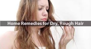 Apply half cup of honey to freshly washed, damp hair and gently massage it into your scalp and hair strands. Home Remedies For Dry Rough Hair Natural Home Treatment Hairstyle For Women