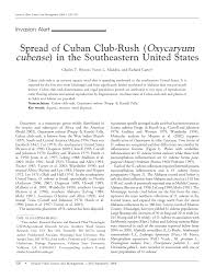 Image result for Oxycaryum