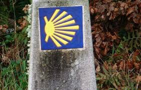 Sprawdzamy najnowsze zmiany dotyczące stawek podatków. 1 Stycznia 2021 R Rozpocznie Sie Jubileuszowy Rok Jakubowy Niedziela Pl