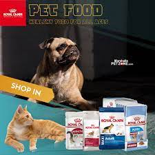 Royal Canin Food For Pets At The Best Prices Rottweiler Mix Puppies Dog Food Recipes Royal Canin
