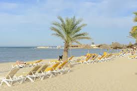 HOTEL MONARQUE DAR JERBA NARJESS TEMLALE 4* (Tunisie) - de &euro; 93 | HOTELMIX
