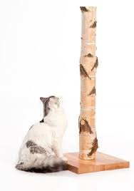 Cube And Bark Under The Blanket Cats Diy Cat Scratching Post Cat Diy