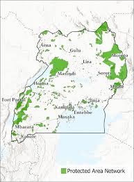 Image result for Dasylepis eggelingii