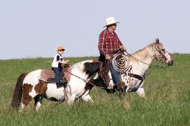 17.10.2021 · driver, cook, veterinary, washerman, lab assistant, water carrier, etc. Veterinarian In Rapid City Equine Vet Large And Small Animal Hospital