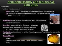 Today, these invertebrate animals no longer exist. Geologic History And Biological Evolution Ppt Download