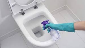 comment enlever le tartre des toilettes avec 4 solutions naturelles ameliore cuvette des toilettes propres nettoyer toilettes produits de nettoyage naturels