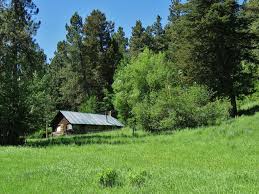 Maybe you would like to learn more about one of these? Lewistown Montana Recently Sold United County Shobe Auction Realty